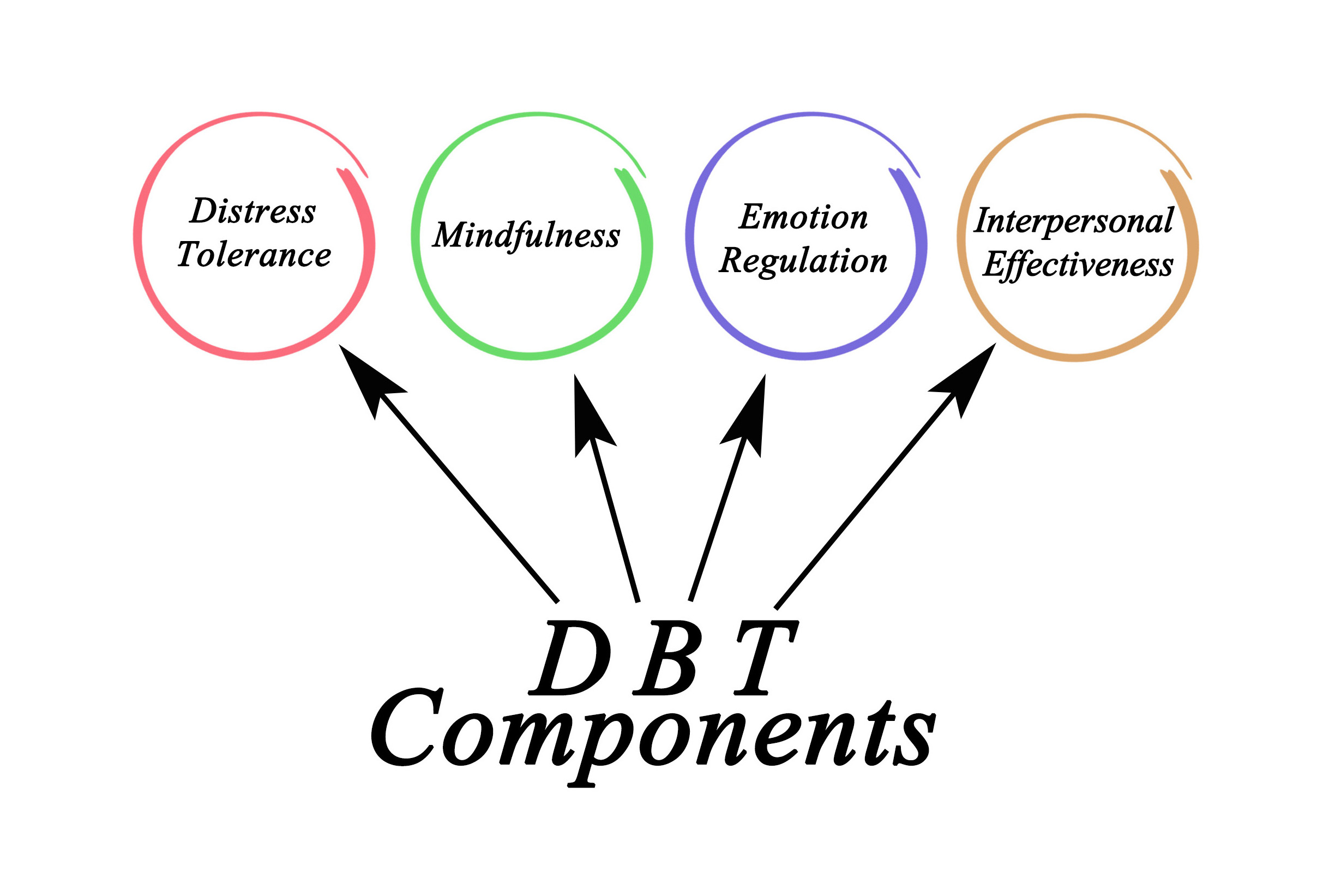DBT Dialectical Behavior Therapy. Maureen Midge Lansat, LMHC, Healing and Creative Arts